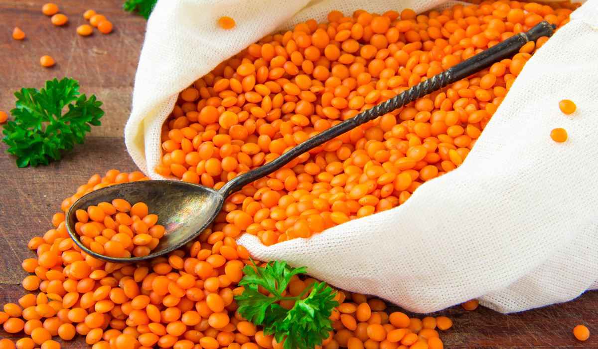 Kırmızı Mercimek